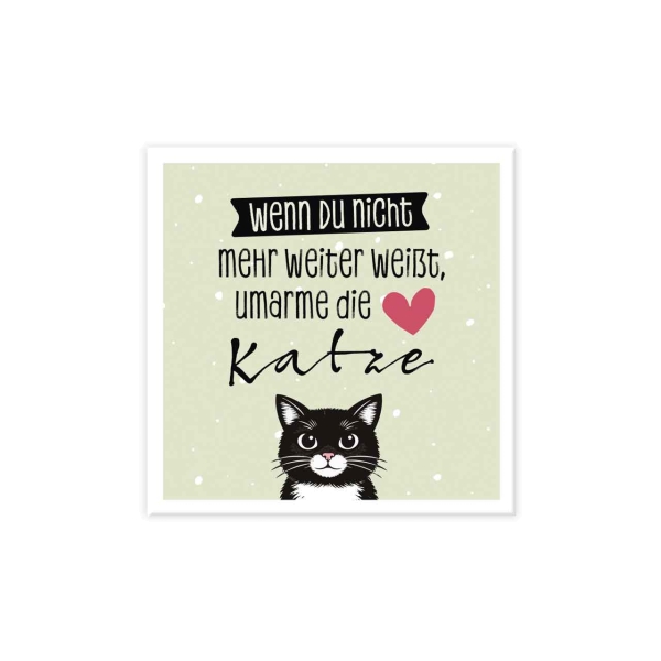 Magnet - Umarme die Katze